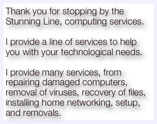 Thank you for stopping by the Stunning Line, computing services.

I provide a line of services to help you with your technological needs.

I provide many services, from repairing damaged computers, removal of viruses, recovery of files, installing home networking, setup, and removals.